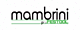 Mambriniprofestool